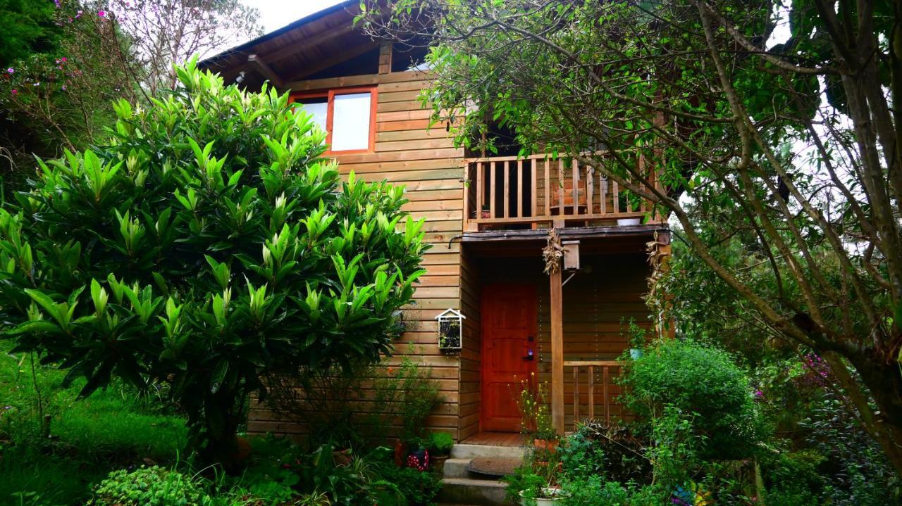 Beehouse Arvi Cabana Guarne Exterior photo
