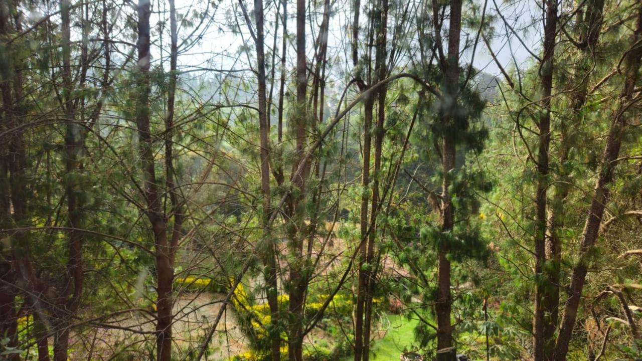Beehouse Arvi Cabana Guarne Exterior photo