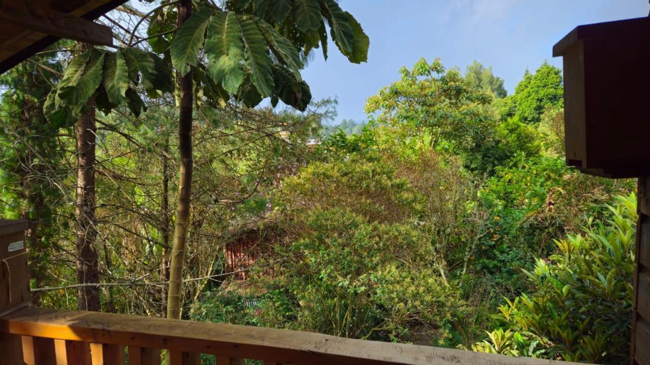 Beehouse Arvi Cabana Guarne Exterior photo